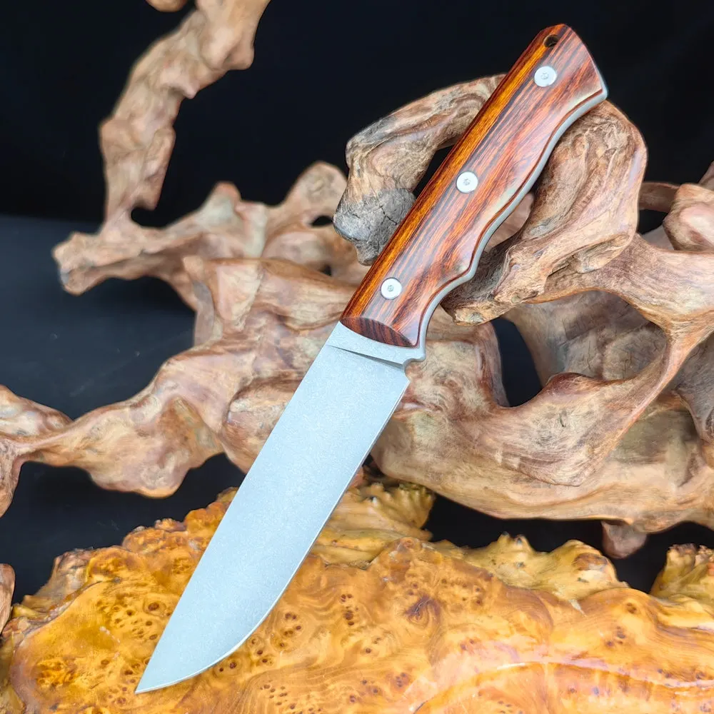 IMG_20230909_035007_135